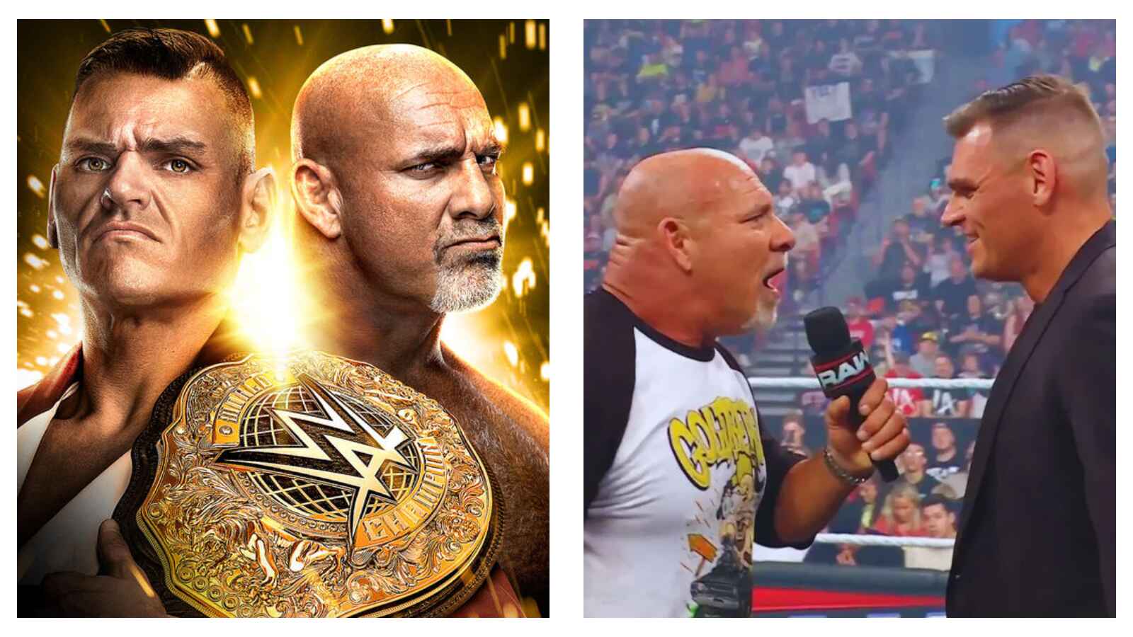 Goldberg and Gunther