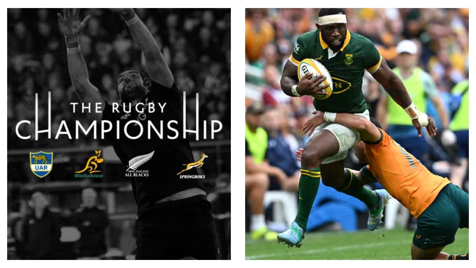 Rugby Championship logo & Springbok captain Siya Kolisi