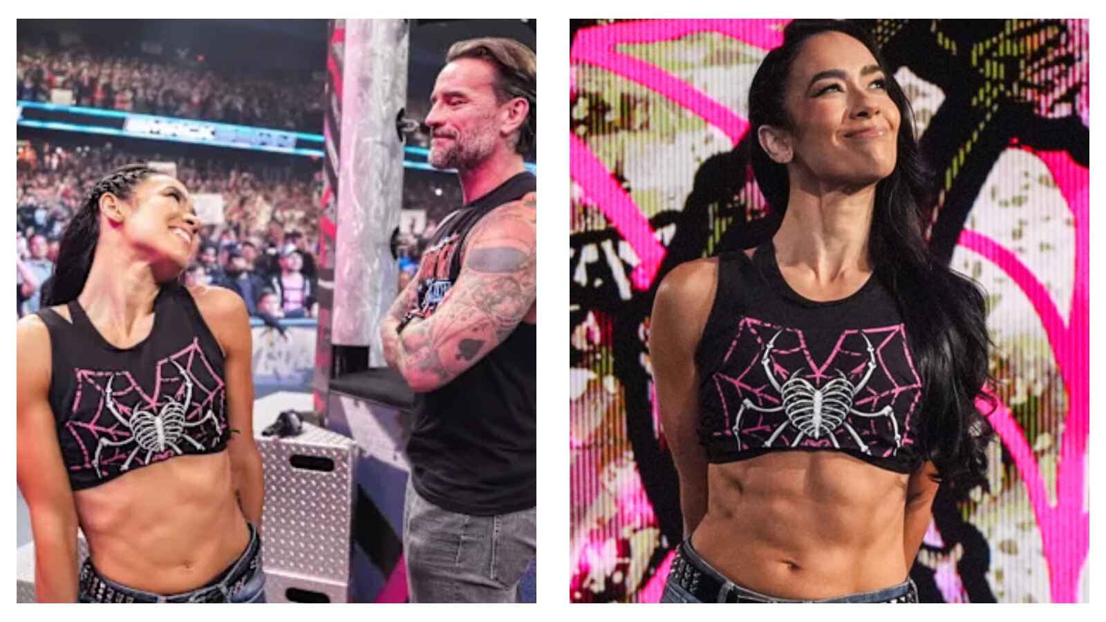 AJ Lee and CM Punk