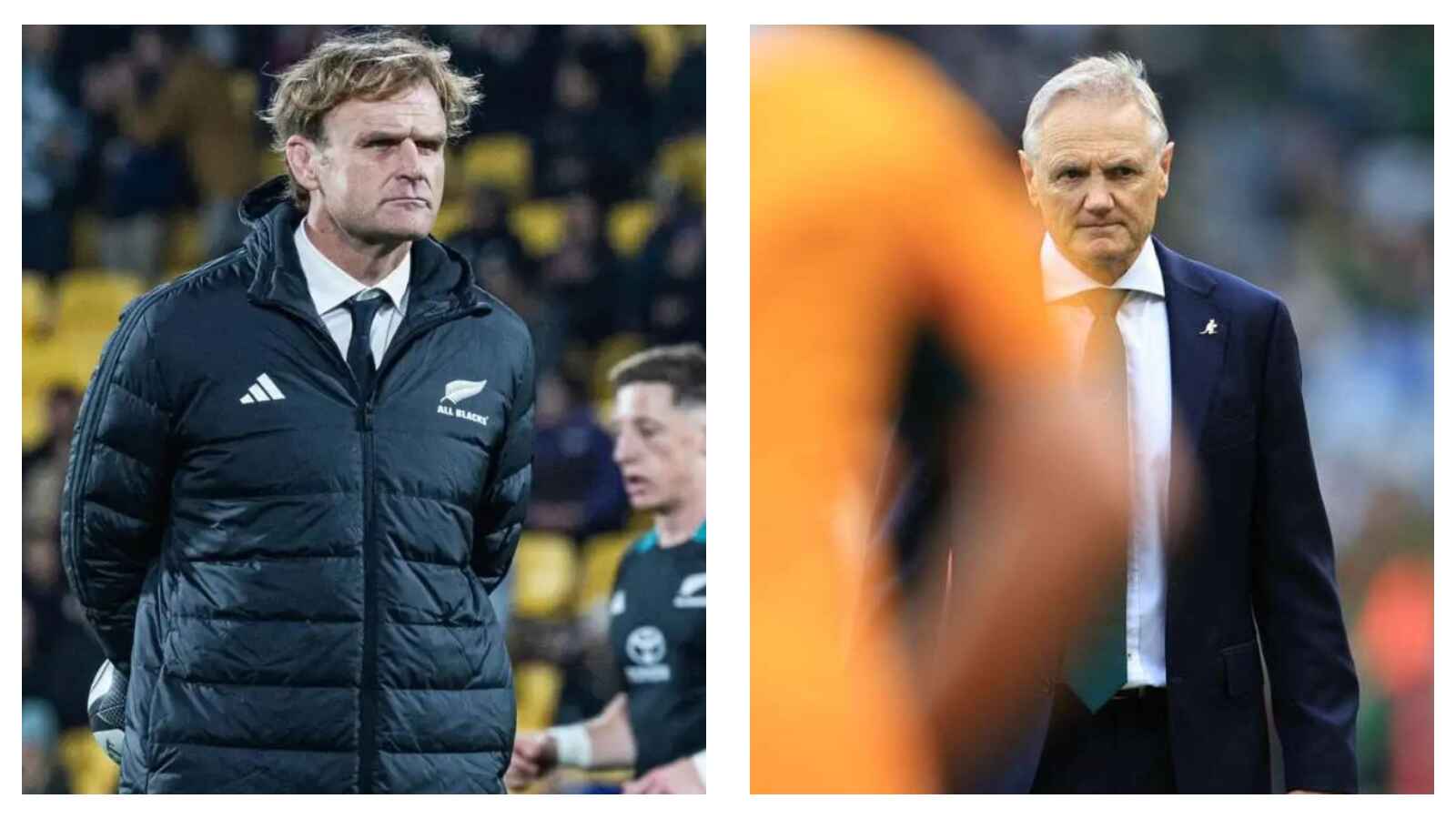 All Blacks' Scott Robertson & Wallabies' Joe Schmidt