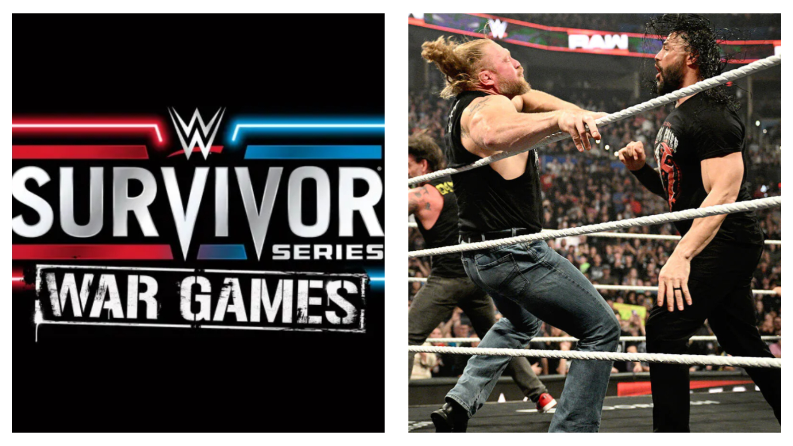 WWE's Survivor Series WarGames logo & Brock Lesnar and Roman Reigns