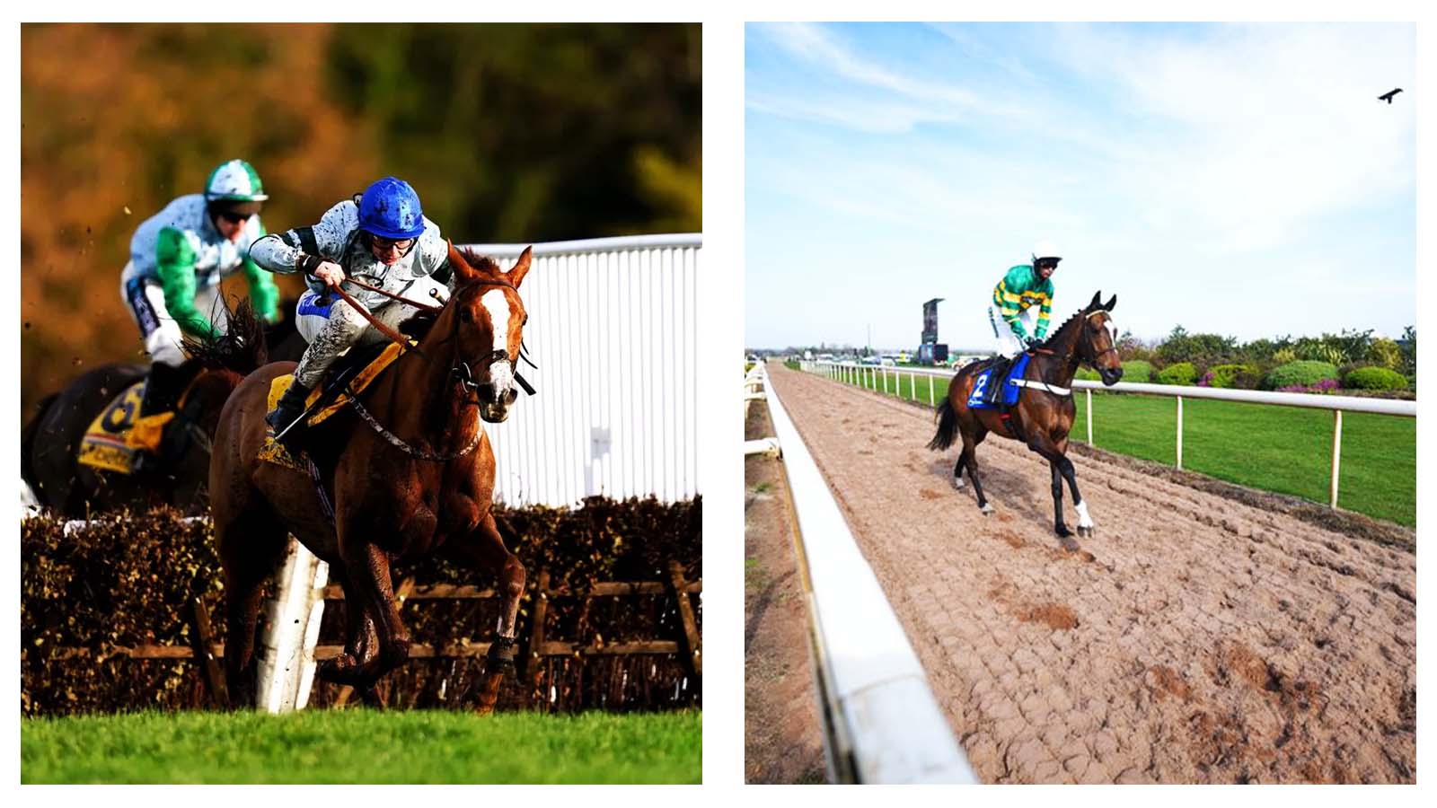 Nicky Henderson's Jonbon