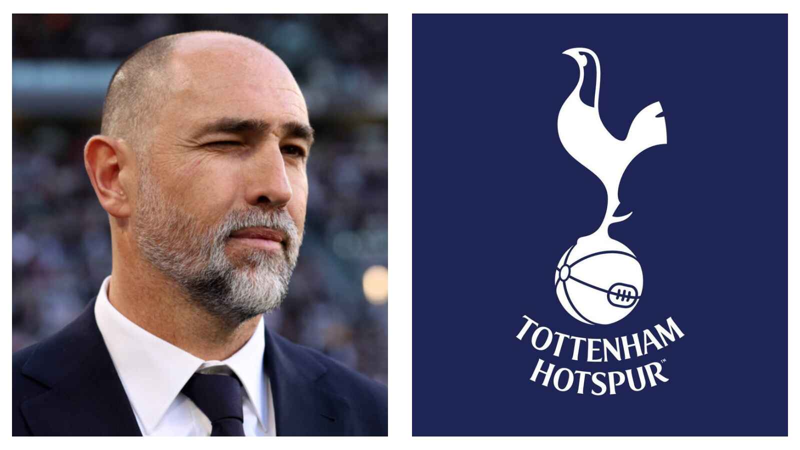 Tottenham appoint Igor Tudor