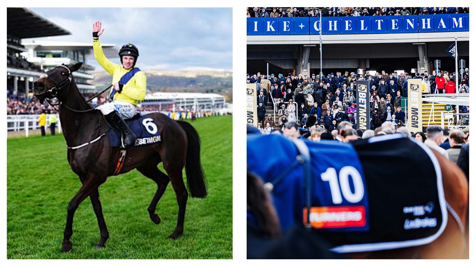 Marine Nationale and Cheltenham Festival