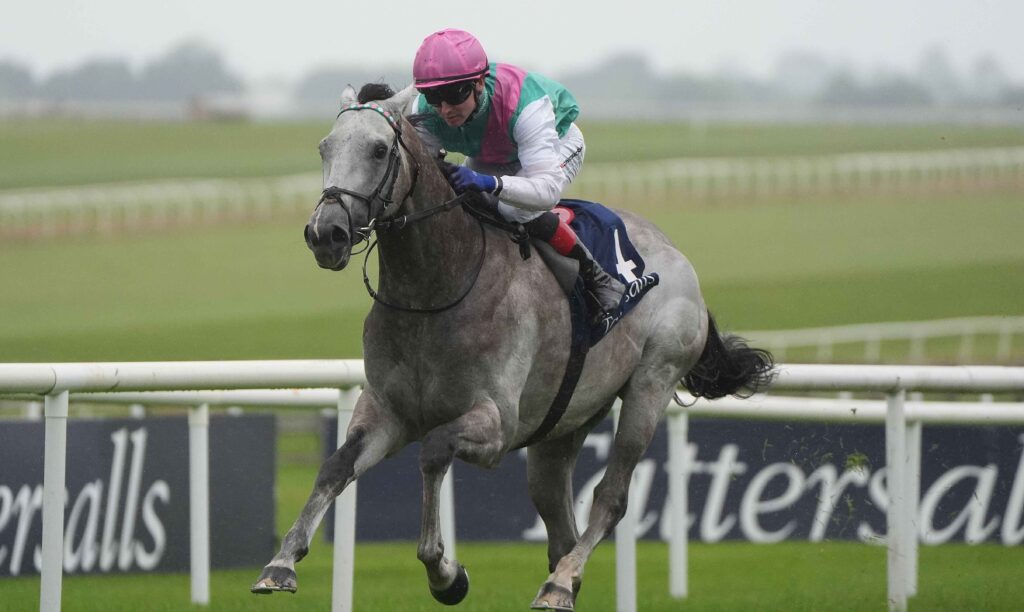 Field of Gold