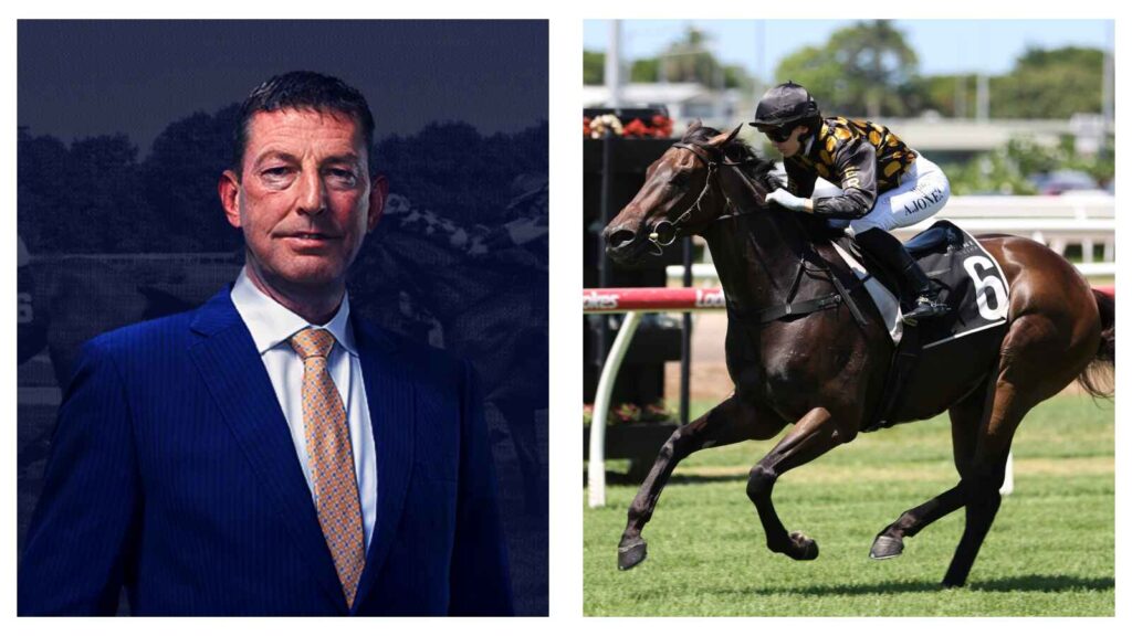 Gavin Cromwell and Now is the Hour horse