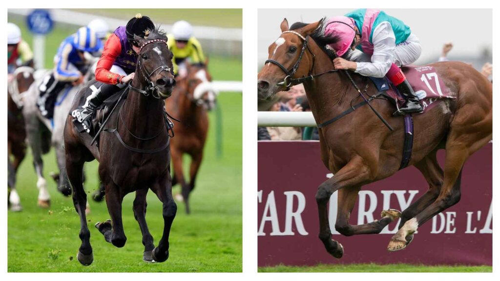 I'm The One and Enable