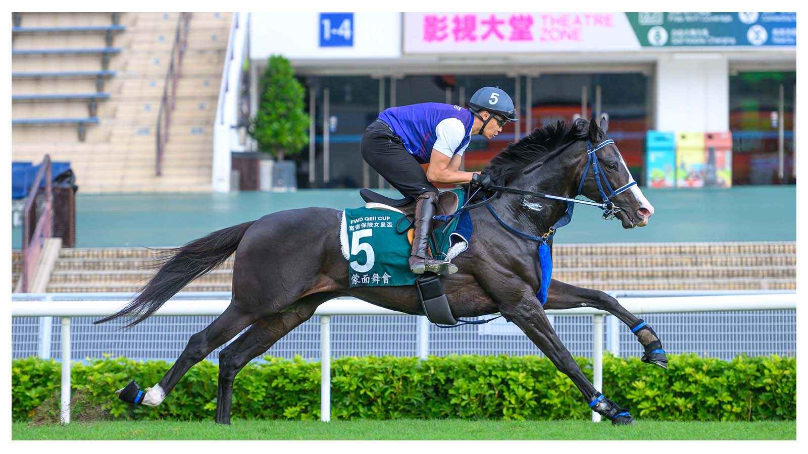 Masquerade Ball exercises on the Sha Tin turf track