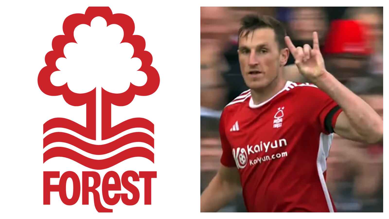 Nottingham Forest badge and Chris Wood