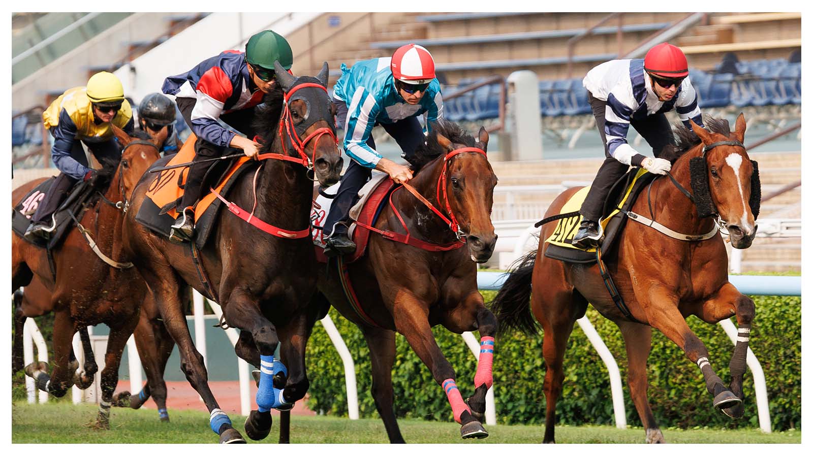 Romantic Warrior (centre) trials under Hugh Bowman