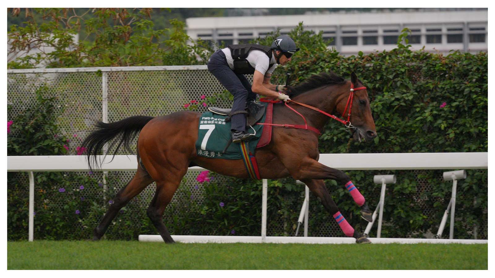 Romantic Warrior works on Sha Tin’s turf track on Thursday morning
