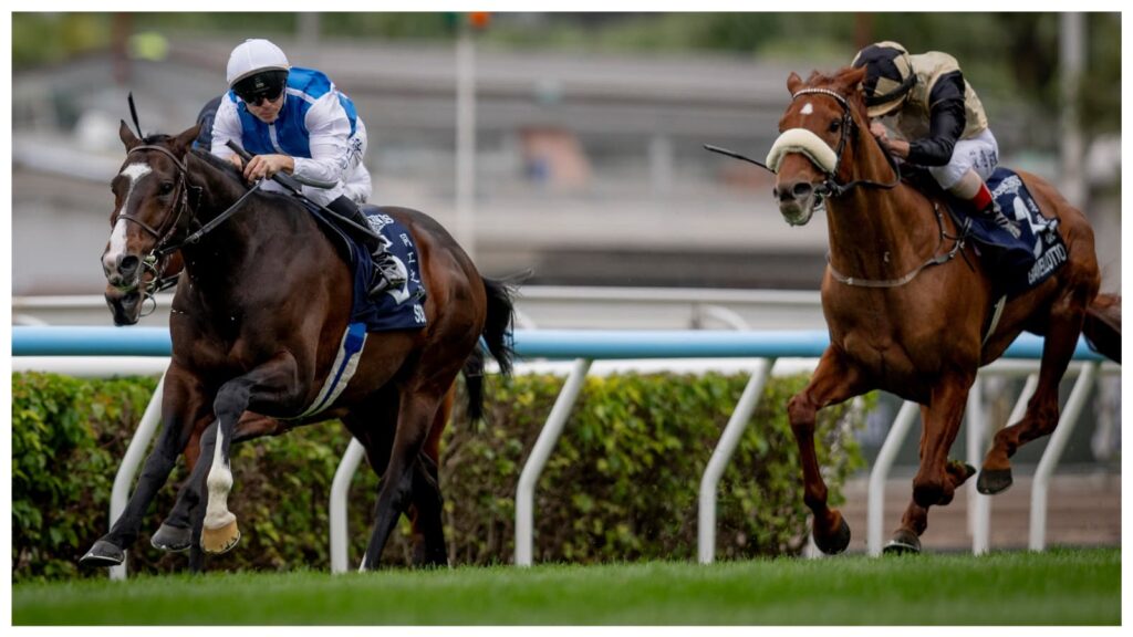 Sosie won the G1 LONGINES Hong Kong Vase in December