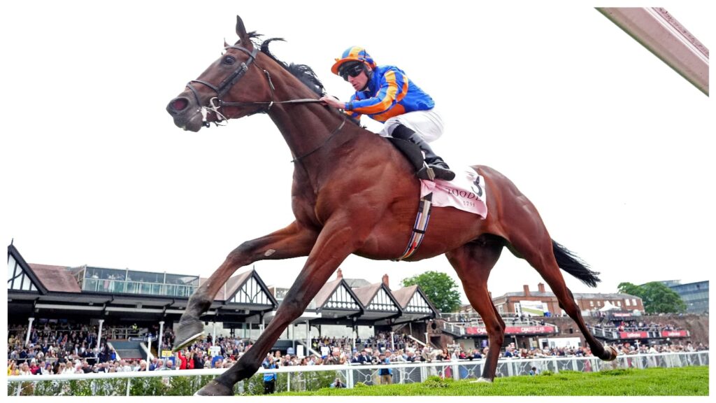 Constitution River wins the Dee Stakes