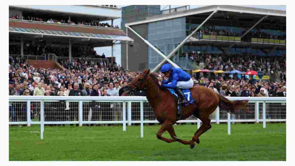 Notable Speech horse