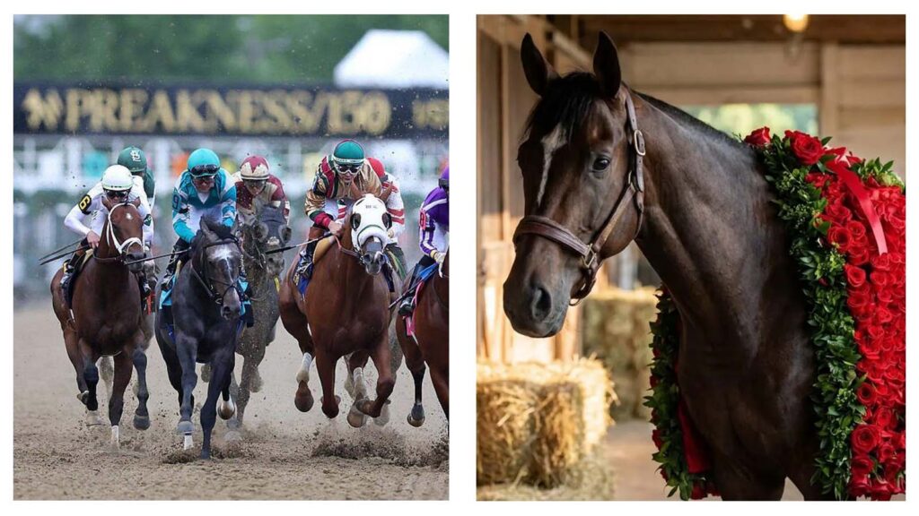 Preakness Stakes and Golden Tempo
