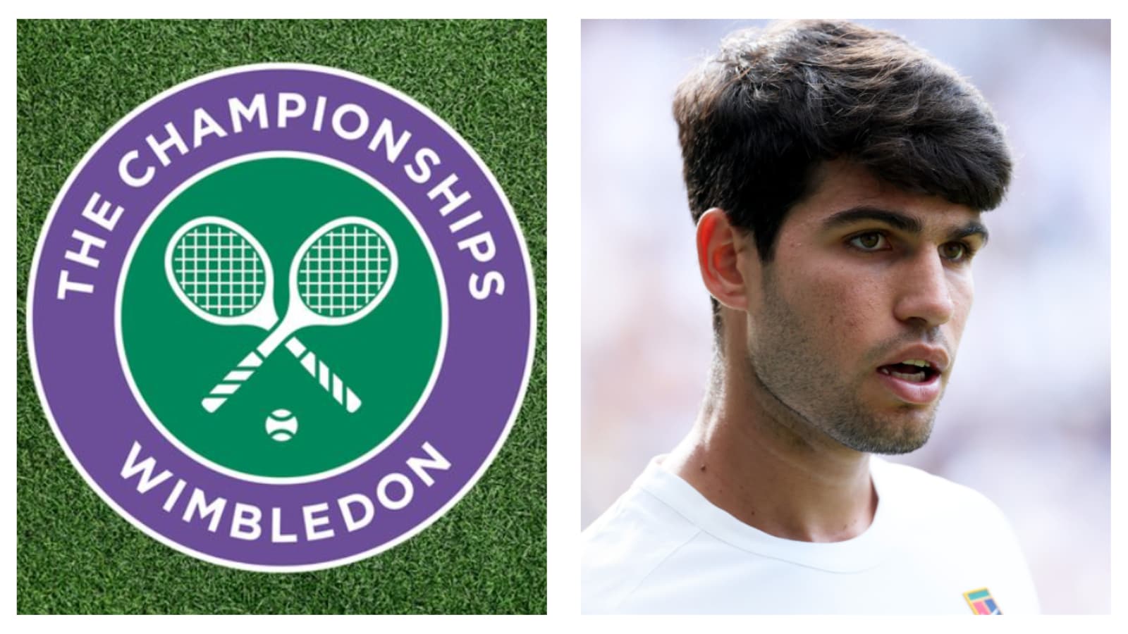 Wimbledon Championships & Carlos Alcaraz