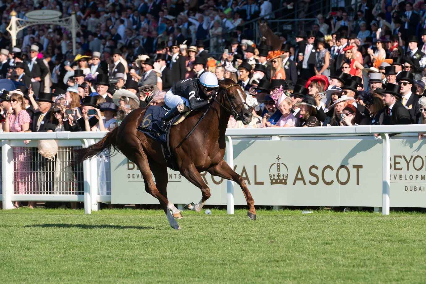Bacio Palace of Holyroodhouse at Ascot