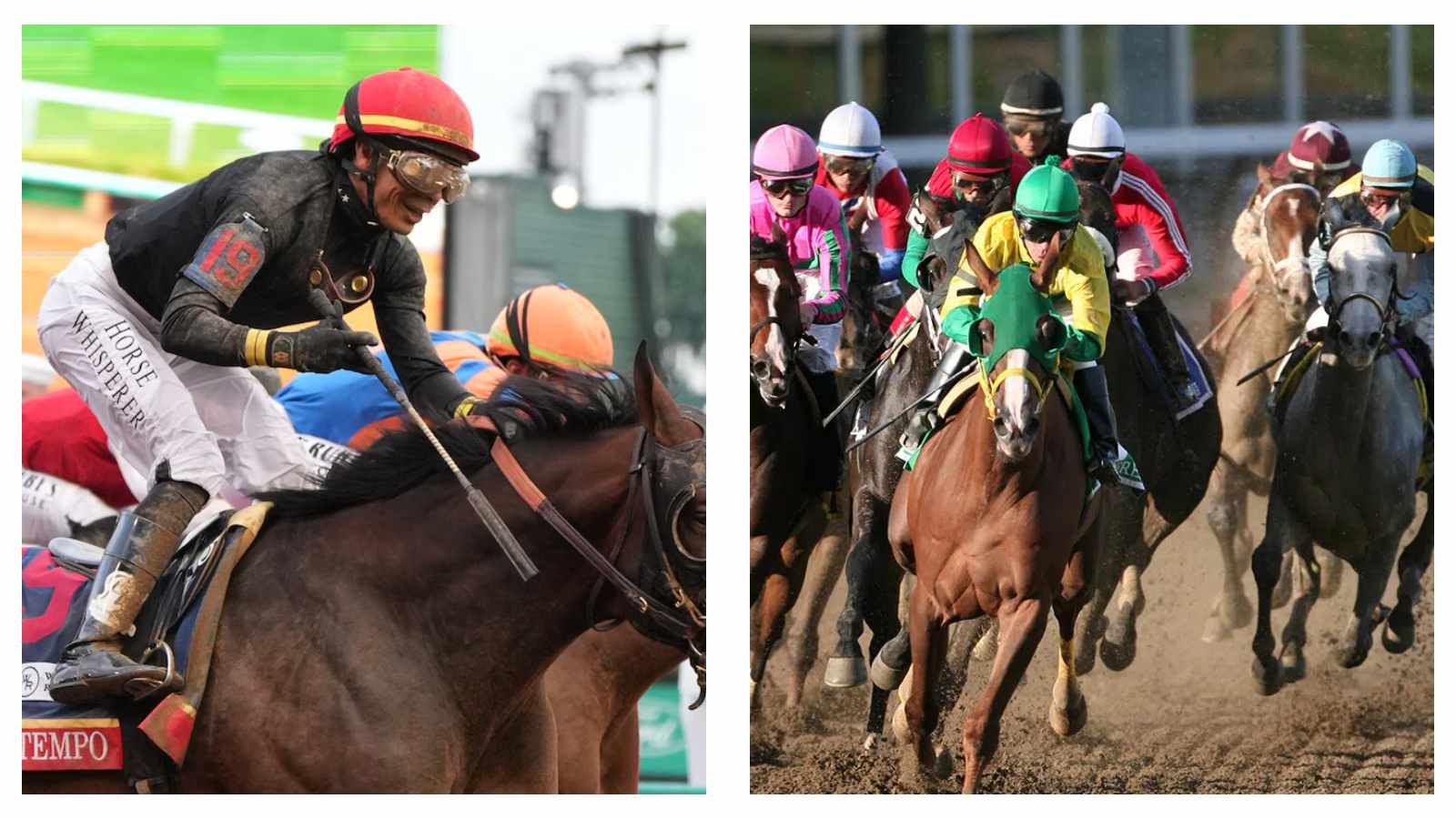 Golden Tempo and Belmont Stakes