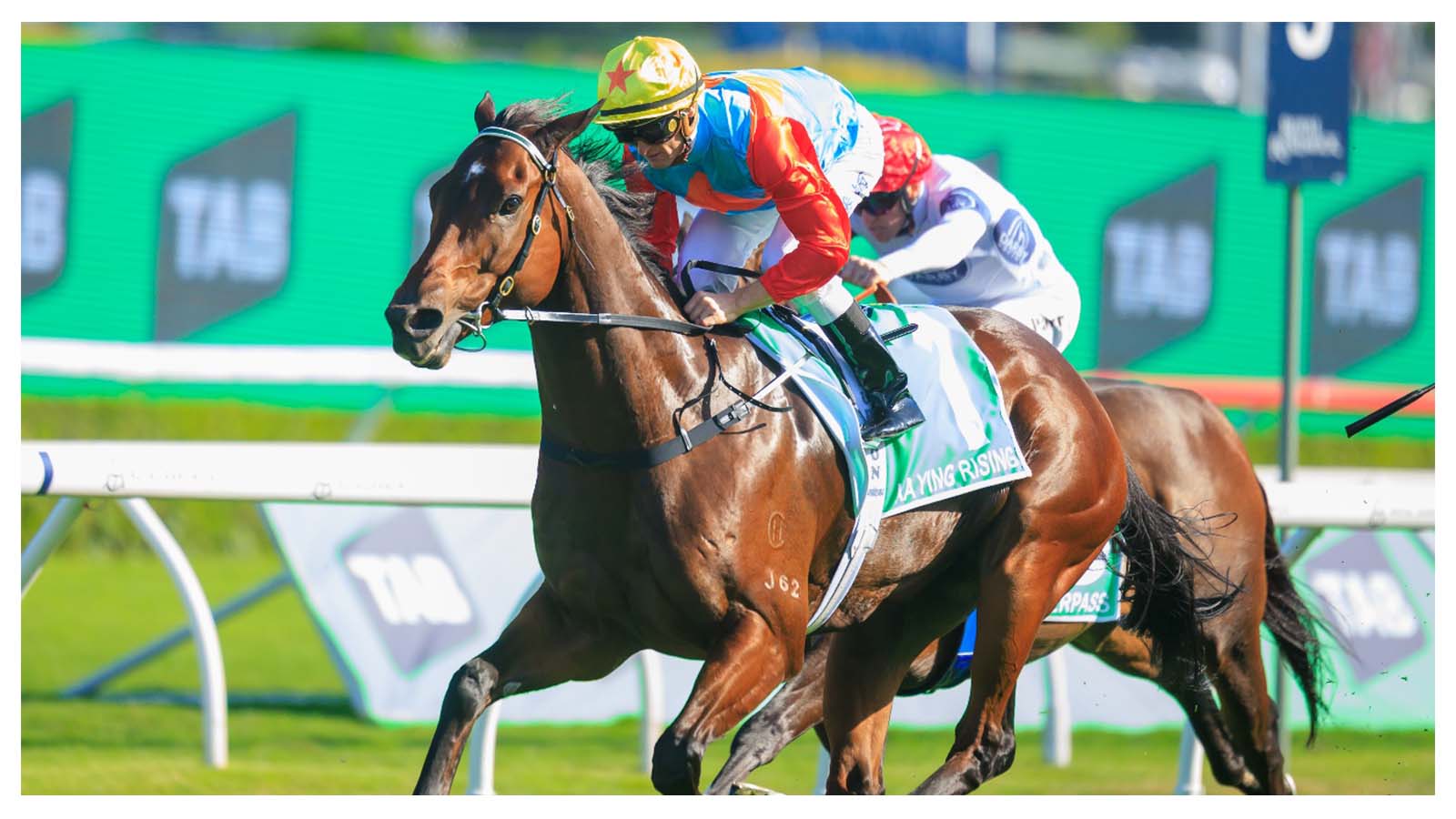 Ka Ying Rising won last year’s The Everest