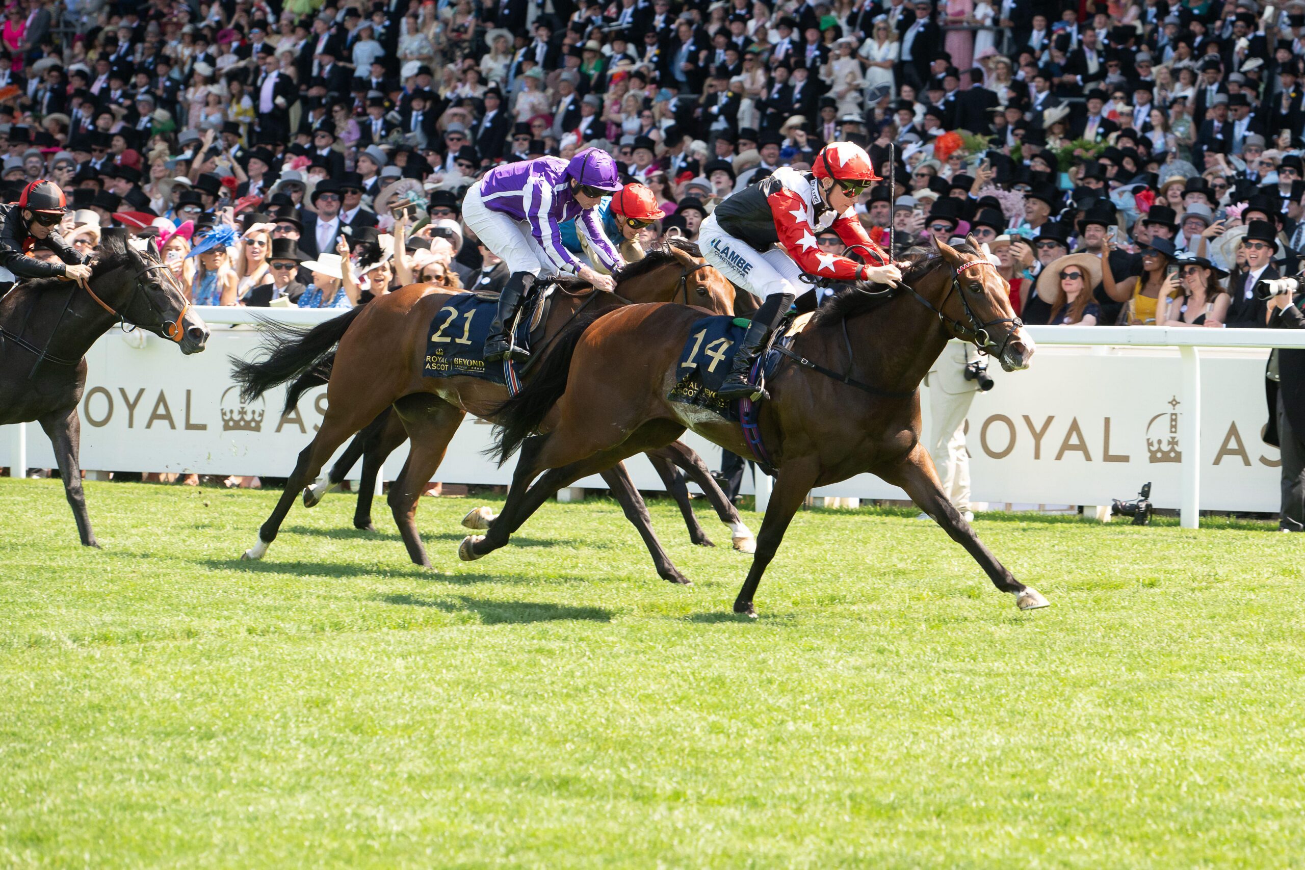 Libertango won the Albany Stakes in good style | Alamy