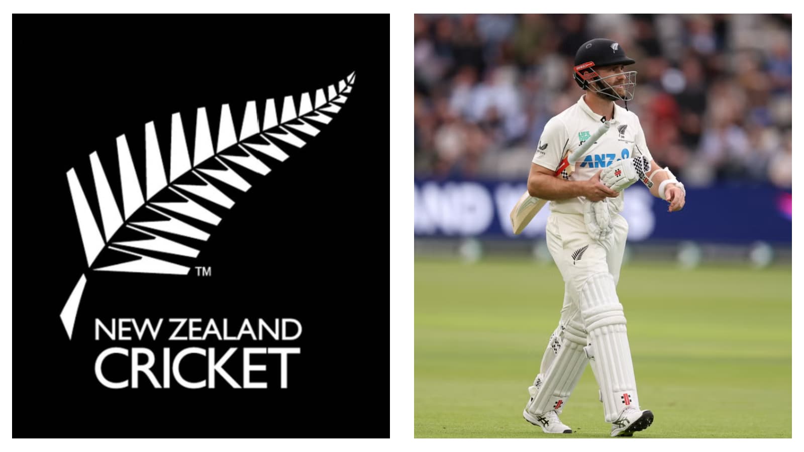 New Zealand cricket & Kane Williamson