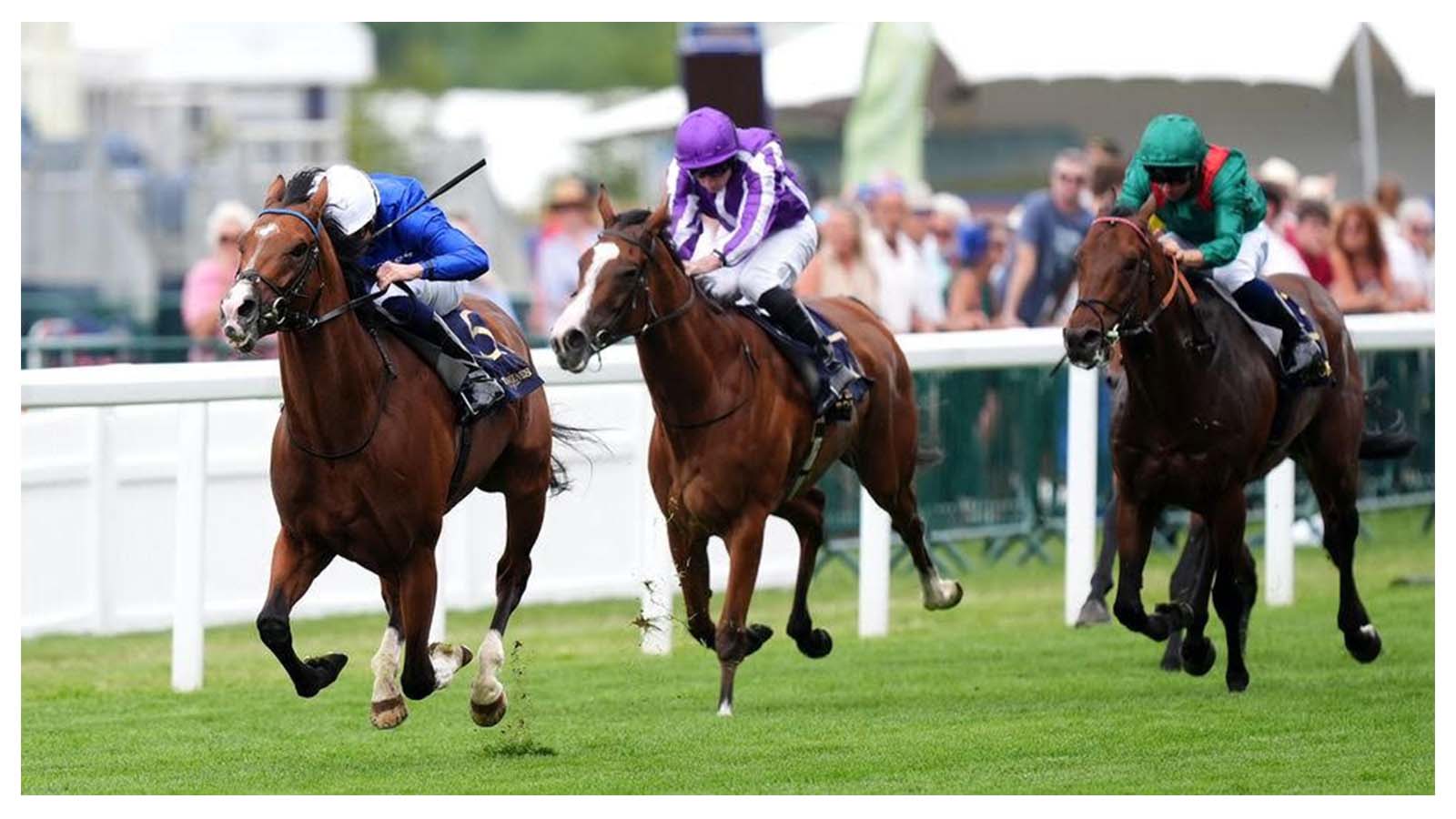Ombudsman was impressive in Wednesday’s feature Group 1