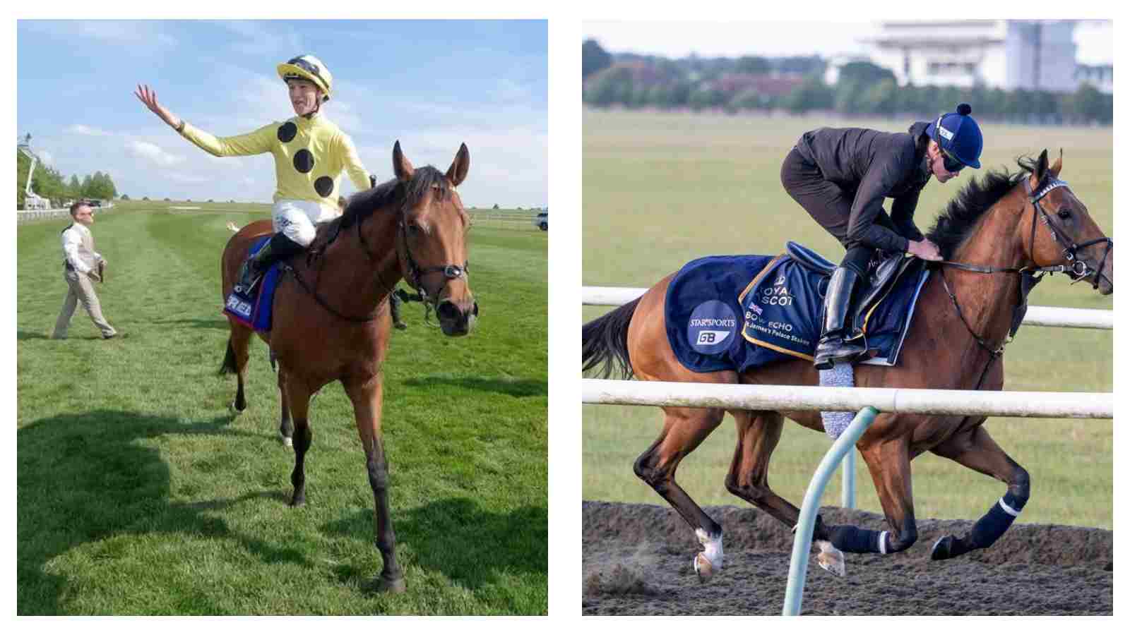 Leading three-year-old’s Timeform master rating increases to 133 from 131p