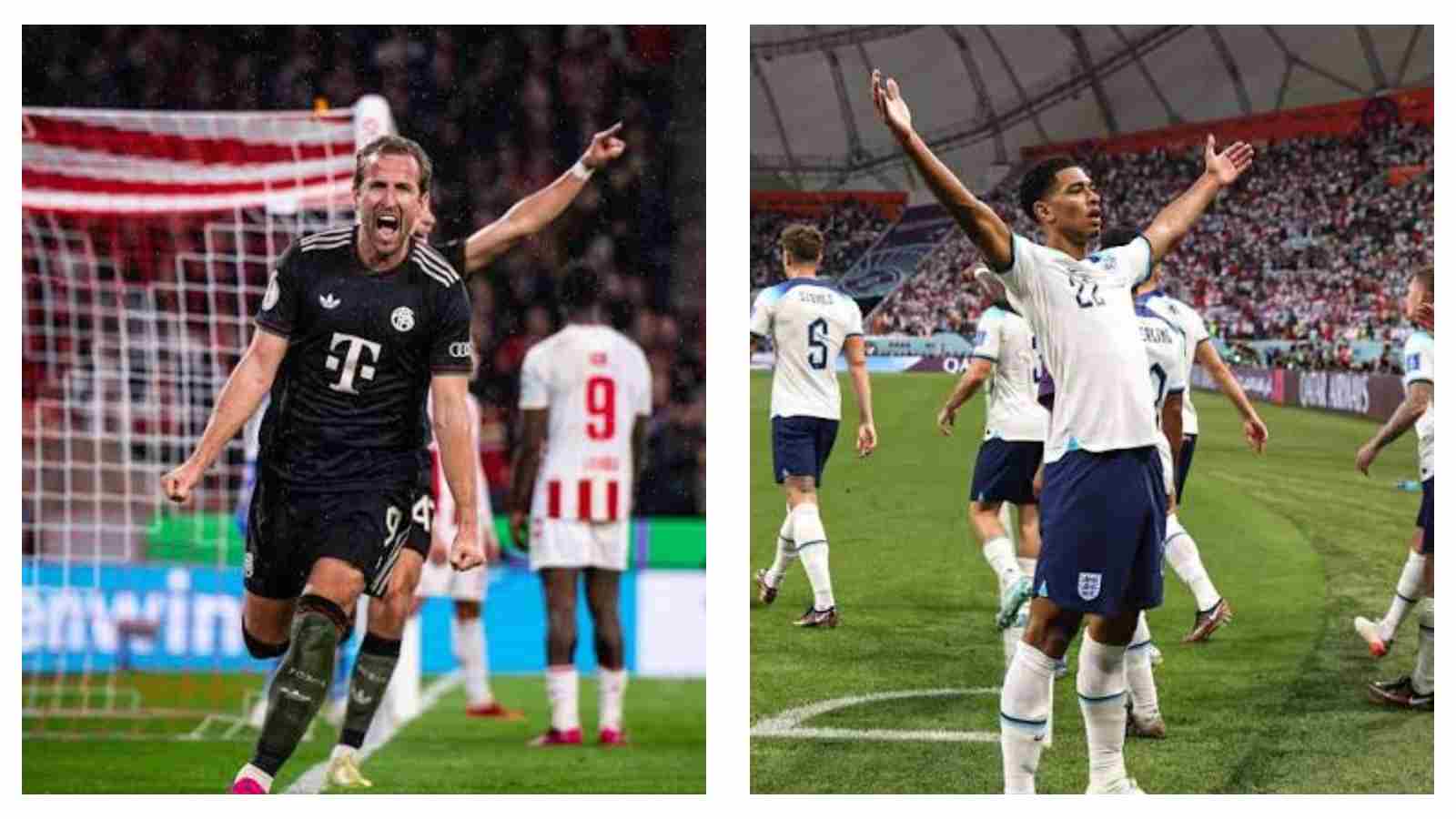 Former England winger Waddle says every team has to rely on its star players - and Bellingham and Kane are Thomas Tuchel’s main men.