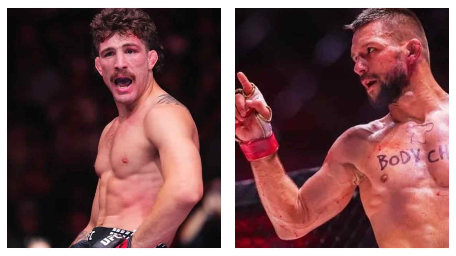 MMA news: Australia’s fastest-rising prospect Quillan Salkilld will become the next lightweight superstar.