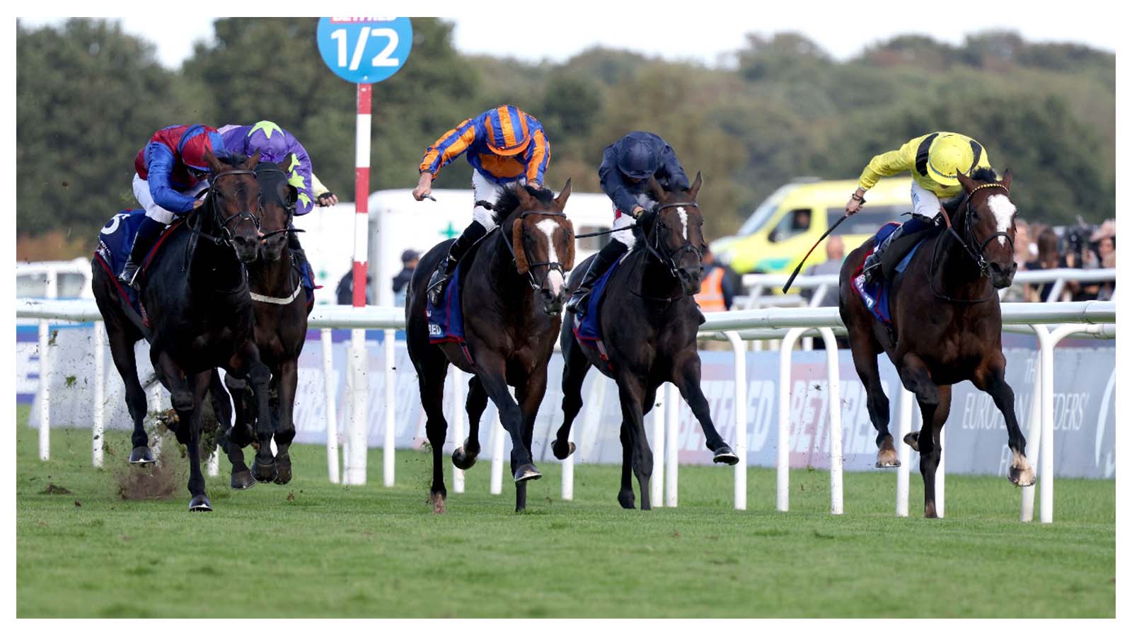 Scandinavia (blue, orange cap) won last year’s G1 St Leger
