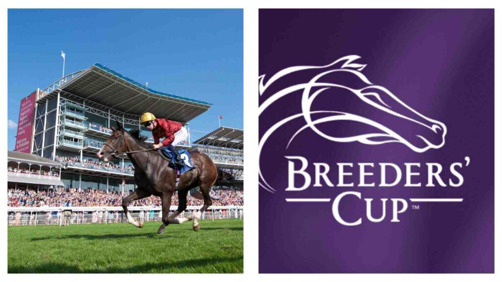 york racecourse and breeders cup