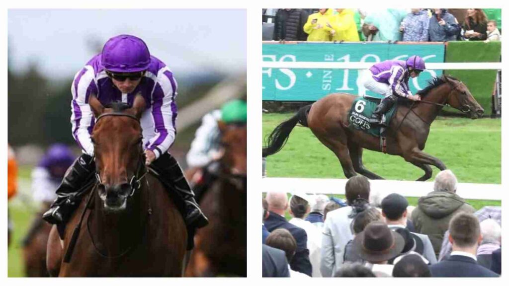 Sun Goddess the highest-rated 2yo filly since Lady Aurelia