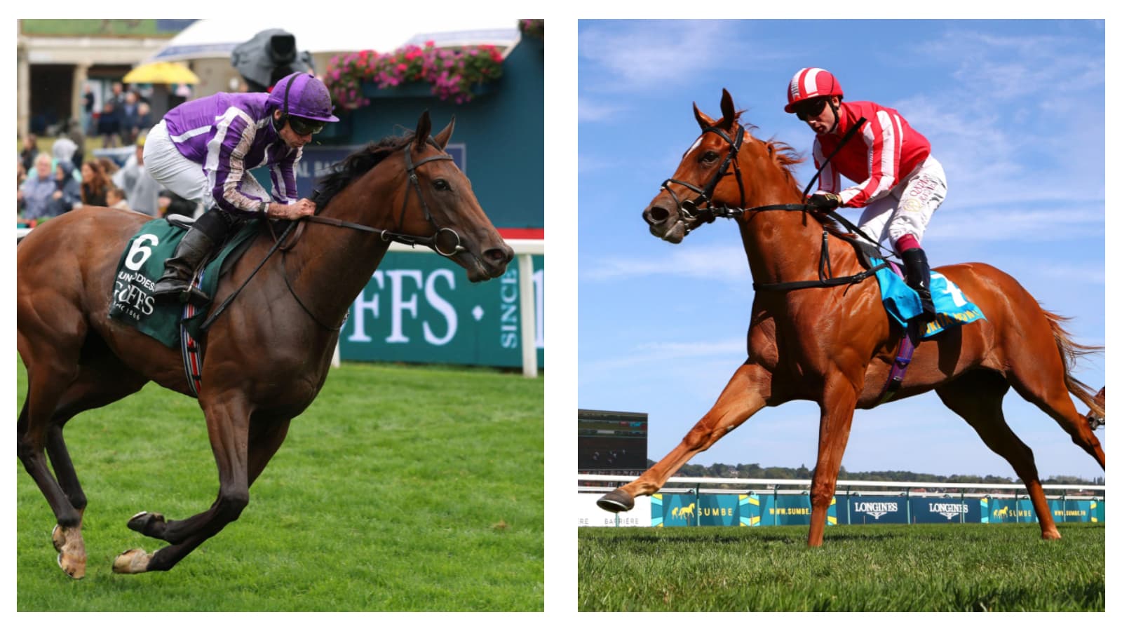 Timeform rates Sun Goddess over Senorita Bonita ahead of Cheveley Park Stakes