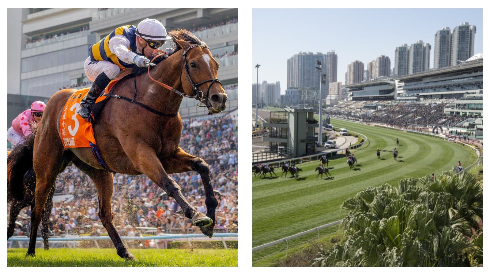 Docklands is heading for Hong Kong in a tilt at the G2 BOCHK Jockey Club Cup