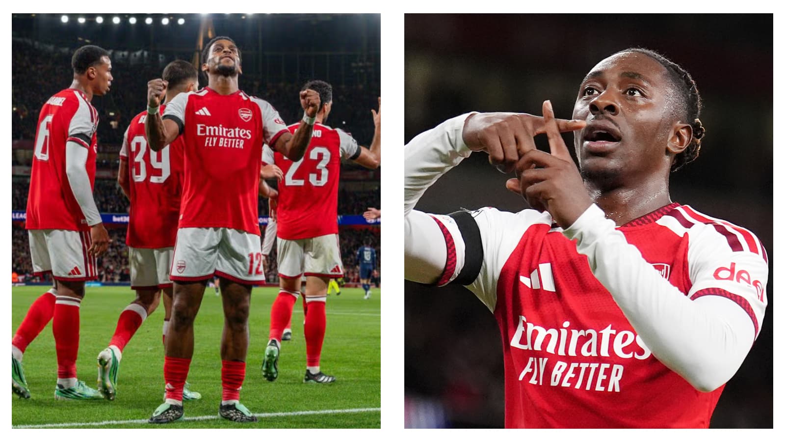 Mikel Arteta reacts as Arsenal beat Lille 3-0 in Champions League