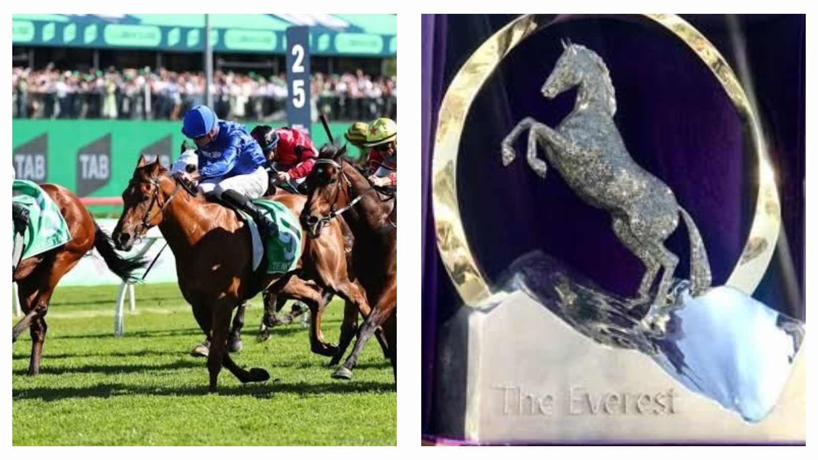 Tempted racehorse and The Everest trophy